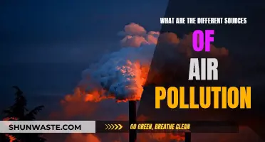 Air Pollution: Diverse Sources, One Problem