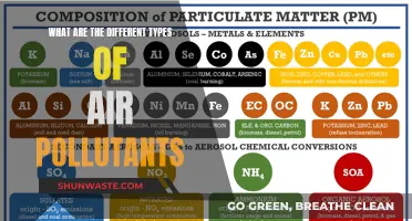 Air Pollutants: Understanding the Different Types
