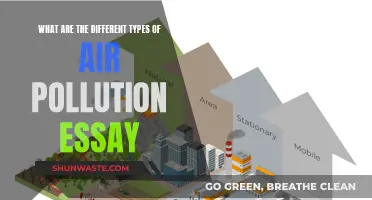 Air Pollution: Understanding Different Types and Their Impact