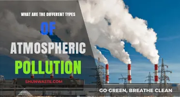 Understanding the Varied Faces of Atmospheric Pollution