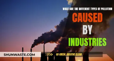 Industrial Pollution: Air, Water, Soil, Noise, and More