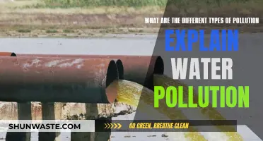 Water Pollution: Understanding Its Impact and Types