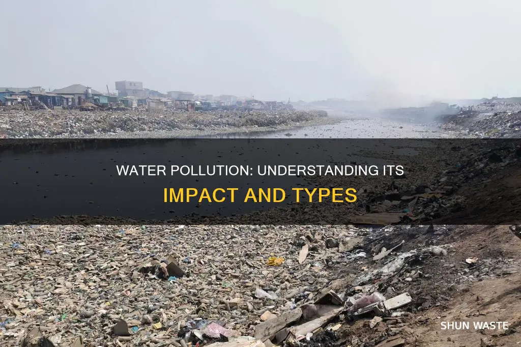 what are the different types of pollution explain water pollution