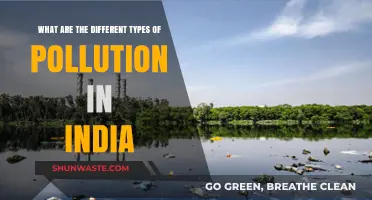 Pollution Types Plaguing India's Environment and Health