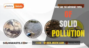 Solid Pollution: Understanding the Different Types and Their Impact