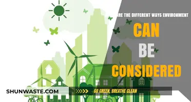 Exploring Diverse Perspectives on Environmental Considerations and Impacts