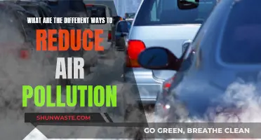 Strategies to Combat Air Pollution and Breathe Easier