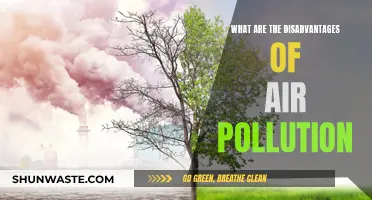 Air Pollution: Harming Our Health and Environment