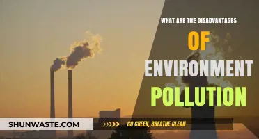 Environmental Pollution: Harmful Impacts and Lasting Effects