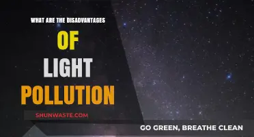 Light Pollution: Harmful Effects on Nature and Health