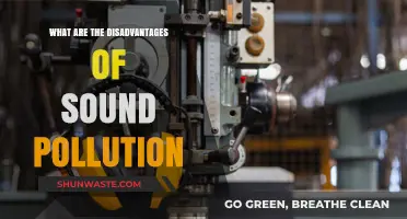 Sound Pollution: Harmful Effects and Disadvantages