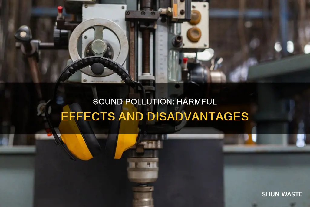 what are the disadvantages of sound pollution