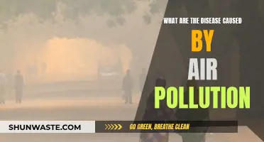 Air Pollution: Silent Killer, Health Hazard