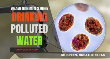 Unseen Dangers: Diseases Caused by Drinking Polluted Water