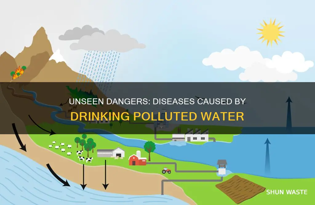 what are the diseases caused by drinking polluted water