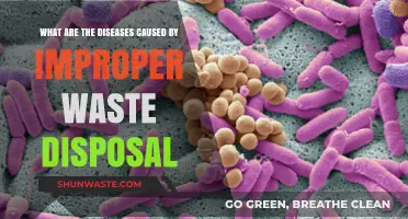The Hidden Dangers: Diseases Lurking in Improperly Disposed Waste