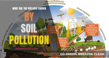 Soil Pollution: Uncovering Hidden Health Hazards and Their Impact