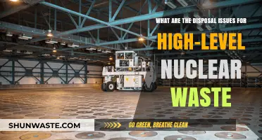 Managing the Unseen Peril: High-Level Nuclear Waste Disposal Challenges