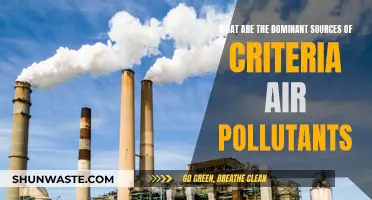 Sources of Criteria Air Pollutants: What and Why?