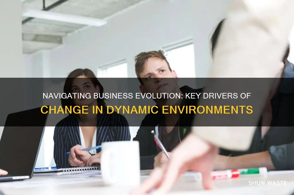 what are the drivers of change in a business environment