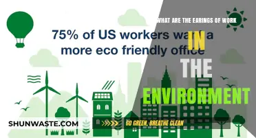 Exploring Earnings from Eco-Friendly Work: Environmental Jobs and Income