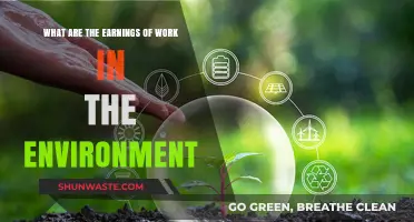 Exploring Earnings in Environmental Work: Opportunities and Compensation Insights