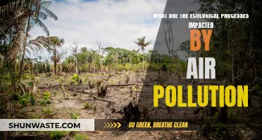 Air Pollution's Impact: Ecological Processes at Risk