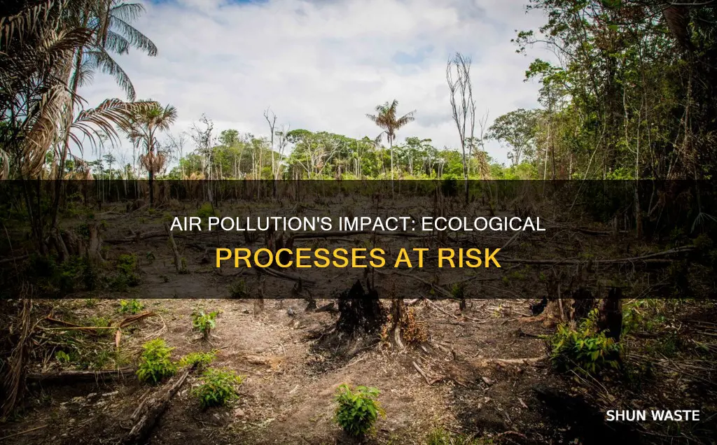 what are the ecological processes impacted by air pollution