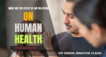 Air Pollution: Deadly Impact on Human Health