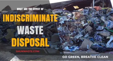 The Devastating Consequences of Indiscriminate Waste Disposal