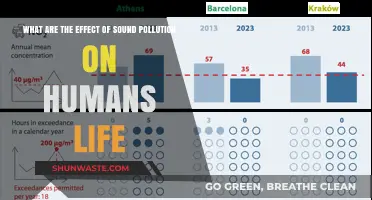 Sound Pollution: Harmful Effects on Human Health