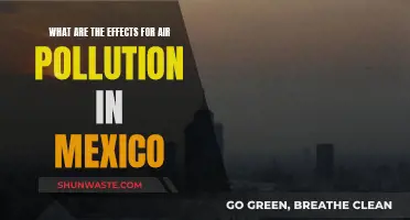 Mexico's Air Pollution: Understanding the Impact and Effects