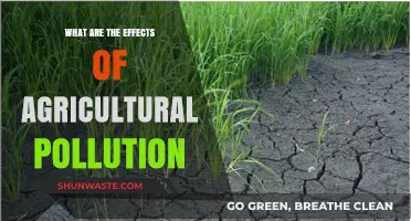 Agricultural Pollution: Impacting Our Health and Environment