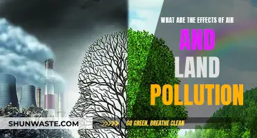 Air and Land Pollution: Understanding the Devastating Effects