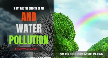 Air and Water Pollution: Understanding the Devastating Effects