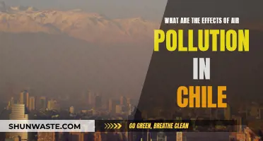 Chile's Air Pollution: Understanding the Impact