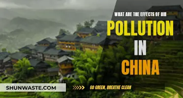 Air Pollution's Impact: China's Environmental Crisis