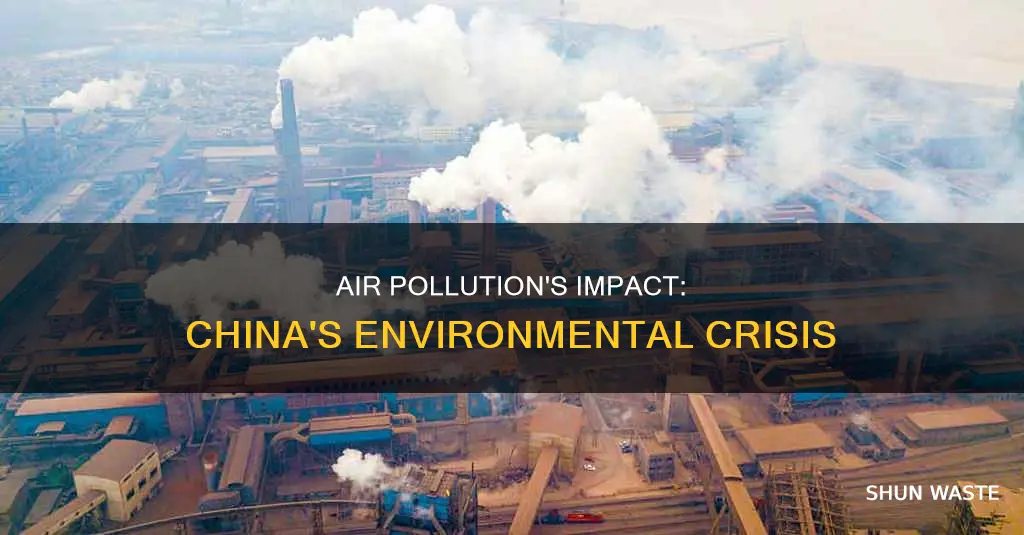 what are the effects of air pollution in china