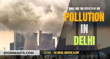 Delhi's Air Pollution: A Health Crisis