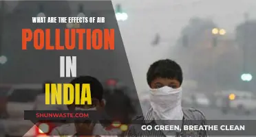 Air Pollution's Impact on India's Environment and Health