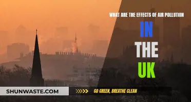 Air Pollution's Impact: UK's Health and Environment at Risk