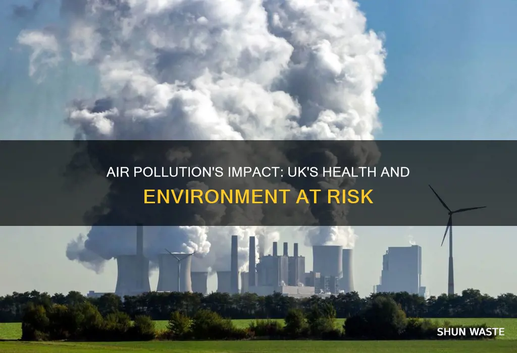 what are the effects of air pollution in the uk