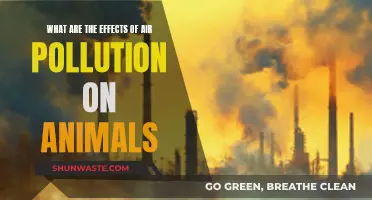 Air Pollution: Harming Animals, Devastating Nature