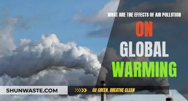 Air Pollution: Global Warming's Unseen Impact
