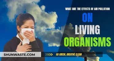 Air Pollution: Harming All Life on Earth