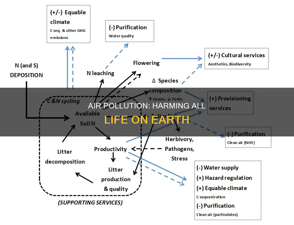 what are the effects of air pollution on living organisms