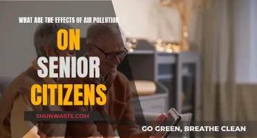 Air Pollution: A Danger to Elderly Health