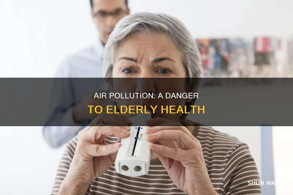 what are the effects of air pollution on senior citizens