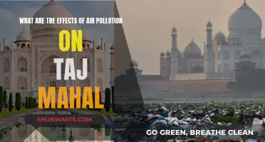 Air Pollution: Taj Mahal's Slow Demise