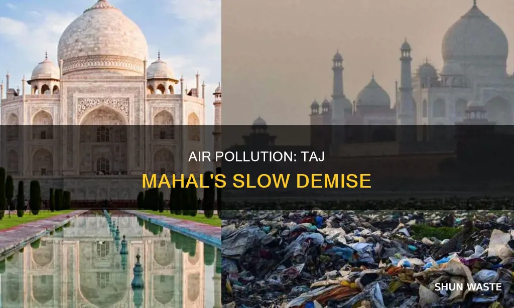 what are the effects of air pollution on taj mahal